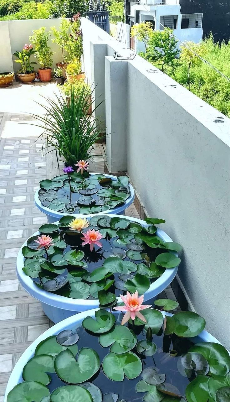 small container ponds