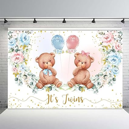 Twin Baby Shower Decoration Backdrop