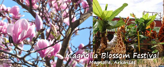 Magnolia Blossom Festival