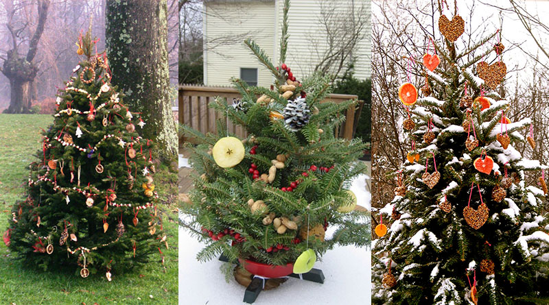 Decorate an Outdoor Holiday Tree for Animals - Dot Com Women