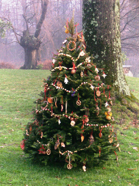 https://www.dotcomwomen.com/wp-content/uploads/2015/12/outdoor-christmas-tree-for-birds.png