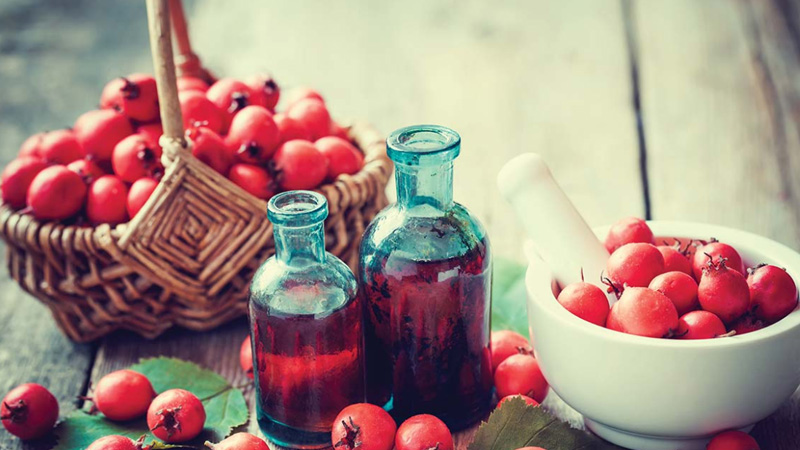 Why is Hawthorn Berry Beneficial for Hypertension?