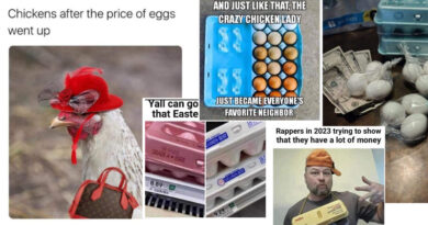 15 Hilarious Egg Prices Memes