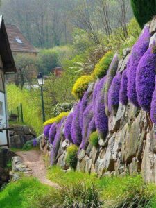 Living Retaining Wall